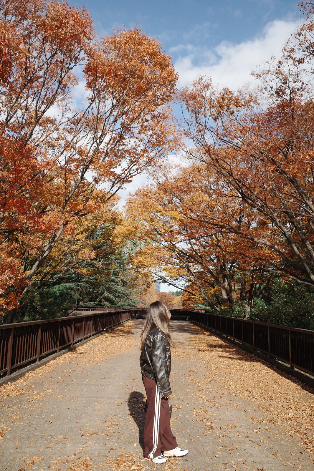 Black Leather Moto Jacket + Brown Track Pants for a Japan Fall Walk