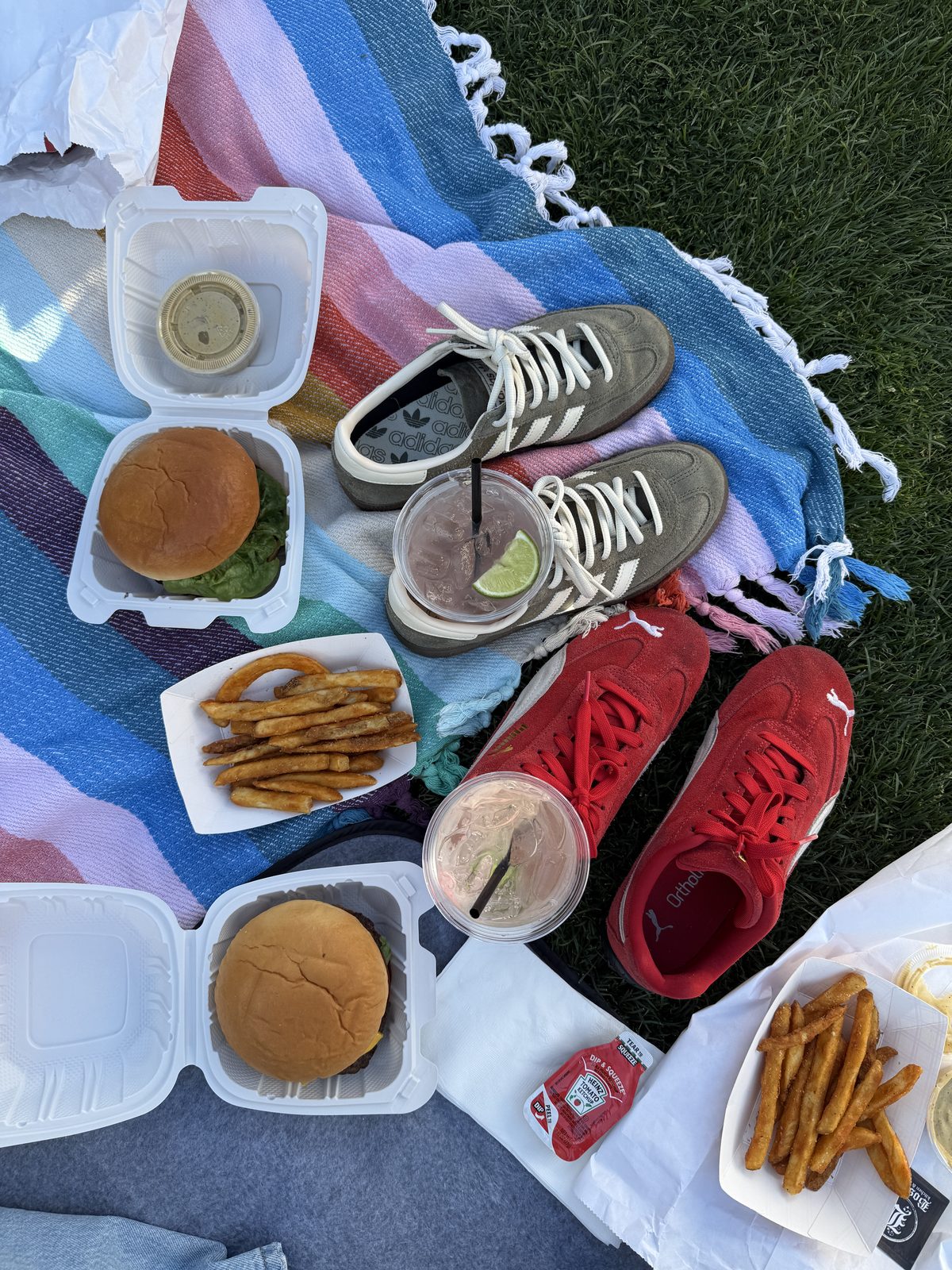 Brown Suede Adidas Spezials + Red Pumas for a Park Picnic